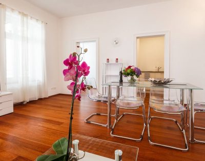 Modern Apartment directly at Opera