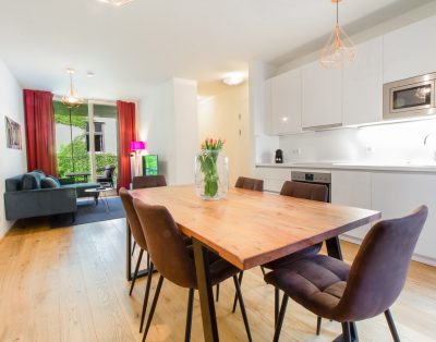 Premium Apartment with Balcony